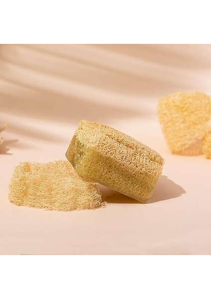 Life Doğal Kabak Lifli Aloe Vera Sabunu - Cilt Kuruluğu Karşıtı, Besleyici, Nemlendirici Yüz ve Vücut Sabunu 150 Gr. fırsatları