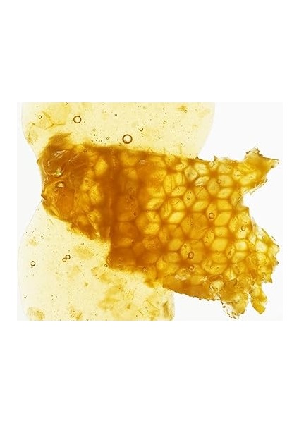 Bees Dudak Bakım Kremi fırsatları