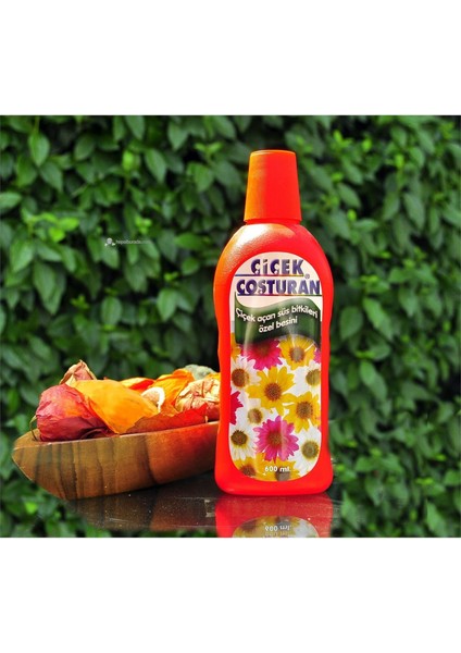 Çiçek Coşturan Çiçek Açan Süs Bitkileri Için fiyatları