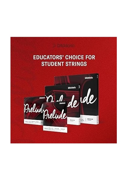 J810 4/4m Prelude Keman Teli modelleri