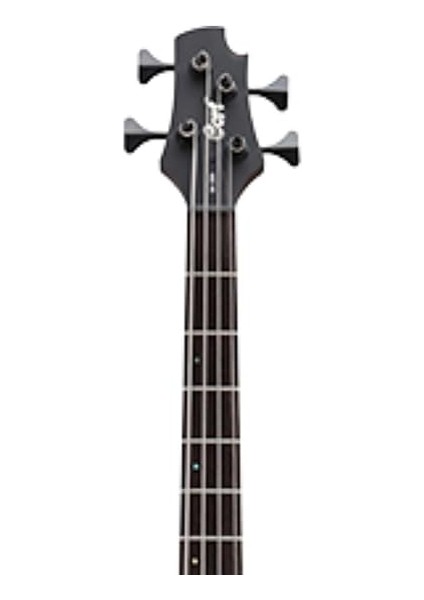 20THBEX Bas Gitar 4 Telli, Egzotik Siyah, Bartolini Mk-1 P modelleri