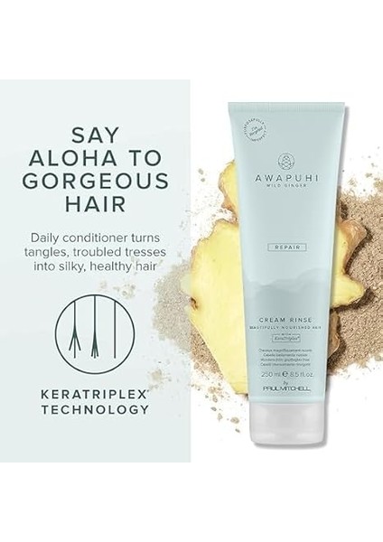 Wild Ginger Paul Mitchell Awg Repair Cream Rinse Bakim Kremi 250 ml modelleri