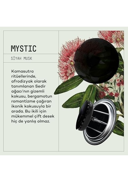 Spin Araba Klima Kokusu - Profesyonel Otomobil Kokusu | Bpa &amp; Sıvı Içermez | 90 Gün Etkili | 2'li Set (Artıstıc &amp; Mystıc) modelleri