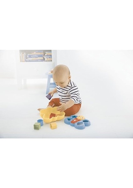 Şekil Eşleştirme Arkadaşı Kelebek Fisher-Price Şekil Eşleştirme Arkadaşı Kelebek, 6 Bloklu, Şekil Eşleştirme Oyunu CDC22 CDC22 modelleri