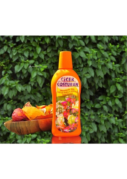 Çiçek Coşturan Mevsimlik Fide Gül Bahçe Bitkileri Için fiyatları