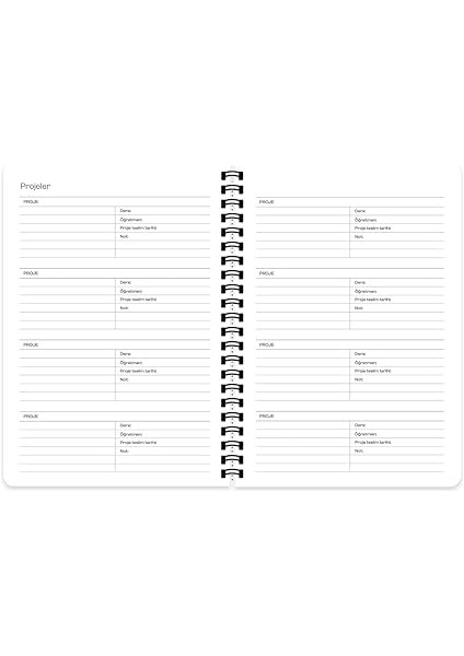 Color 16 * 23 Spiralli Akademik Ajanda - Kalp modelleri