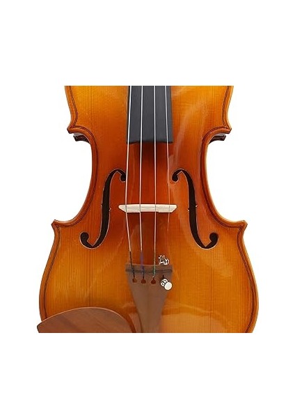 Köprüsü Için Temizleme Bezi Seti, Şık Tasarım ve Dayanıklılık Için – Müzisyenler Için Ideal – Akçaağaç Ağacından Köprü modelleri