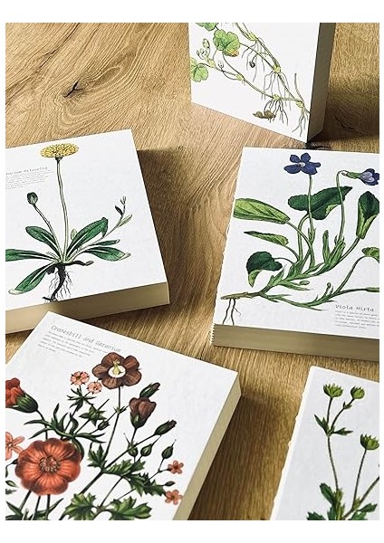 Tanıtım Özel Tasarım Kapaklı A5 Çizgisiz Not Defteri - 180 Derece Açılabilir, Sırtı DIKIŞLI,%100 El Işçiliği, Ofis Için Ideal, Planlayıcı (Hieracium Pilosella Kapak Tasarımı) modelleri