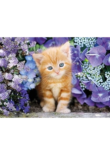 - 500 Parça Hq Collection Yetişkin Puzzle - Ginger Cat In Flowers fiyatları