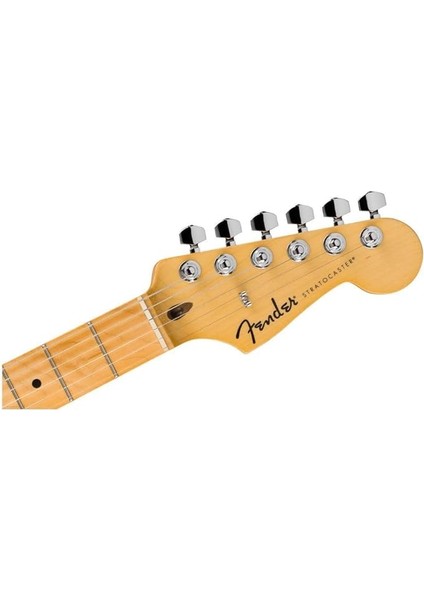 Standard Stratocaster Candy Cola - Maple Elektro Gitar fırsatları