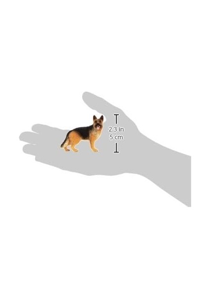 World-Alman Kurdu modelleri