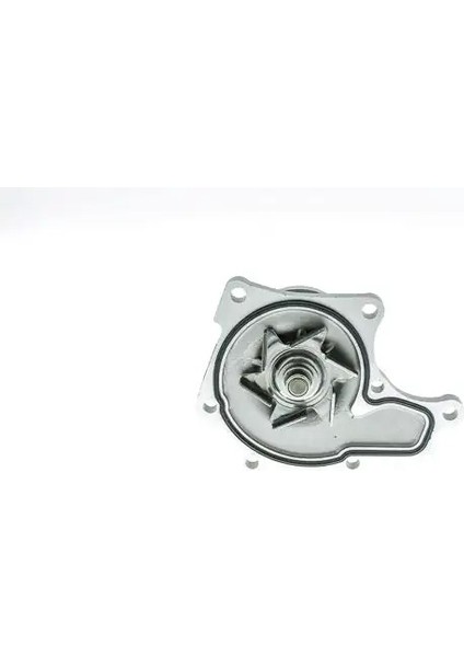 WPG001V Devirdaim 1K0015100 2101089TA1 2101089TA5