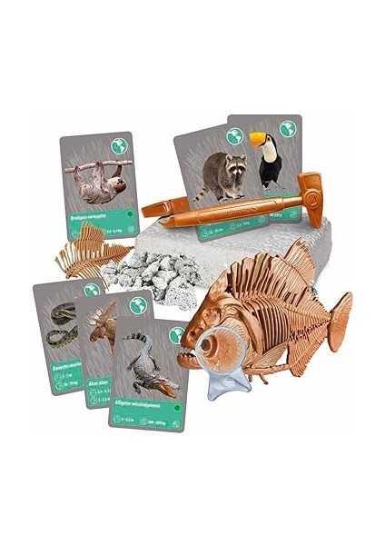 Bilim ve Oyun Dünyadaki Hayvanların Tarihi modelleri