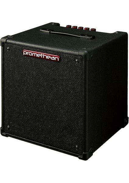 Promethean Elektro Bas Combo Amplifikatör 20 W @8ω - 1 x 20,3 cm Hoparlör (P20)
