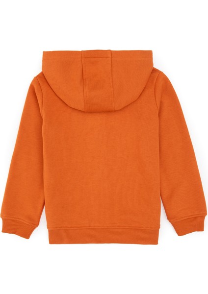 Erkek Çocuk Bakır Hırka (Örme) 50313844-VR182 fiyatları