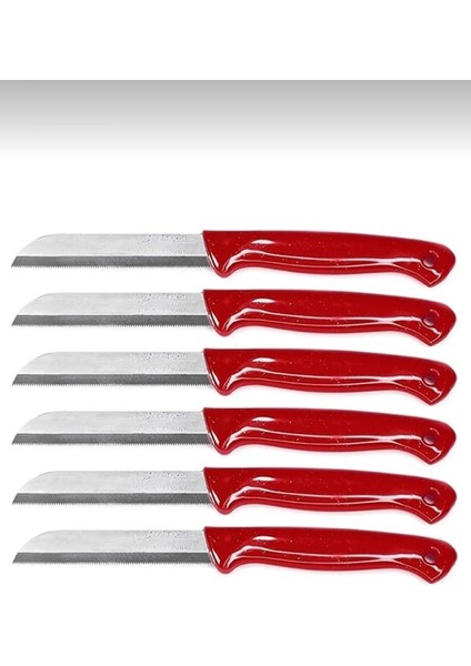 6 Adet Sebze Meyve Bıçağı Simli ve Delikli Kırmızı (Kutulu)