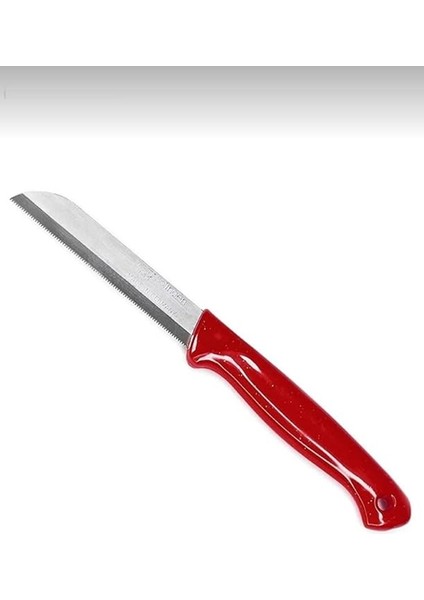 6 Adet Sebze Meyve Bıçağı Simli ve Delikli Kırmızı (Kutulu) fiyatları