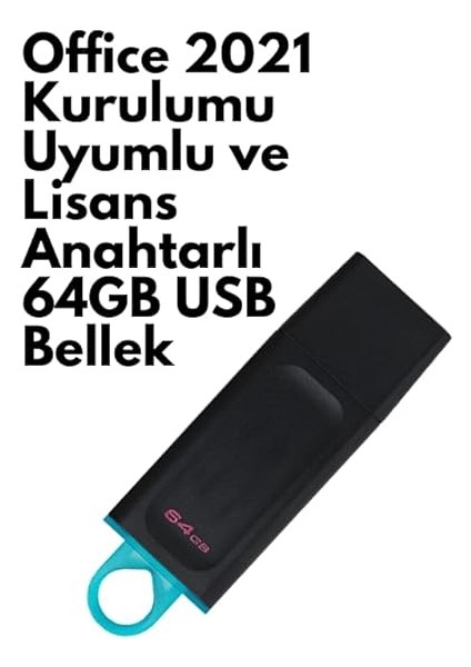 2021 Pro Plus Kurulum Dosyalı USB Bellek 64GB (Lisans Anahtarı Hediyeli) fiyatları