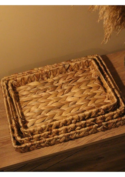 3lü Hasır Su Sümbülü Dikdörtgen Tepsi fiyatları