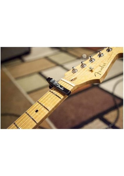 Dragon Capo Elektro ve Akustik Kaposu modelleri