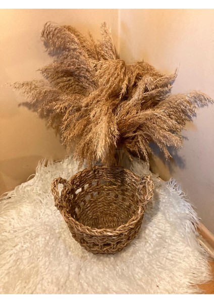 Küçük Boy Kulplu Delikli Hasır Sepet / Düzenleyici / Saksılık