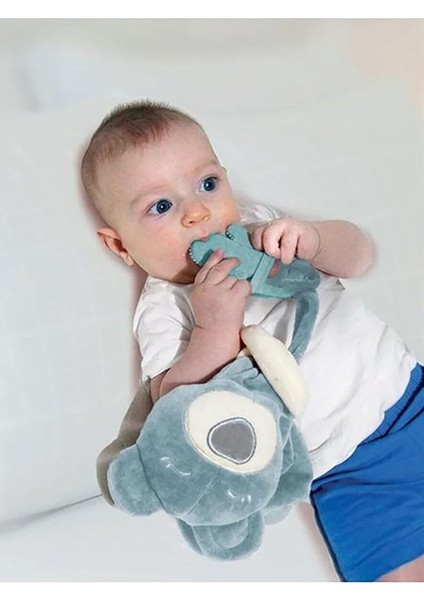 Diş Kaşıyıcılı Uykucu Ayıcık Yeşil fırsatları