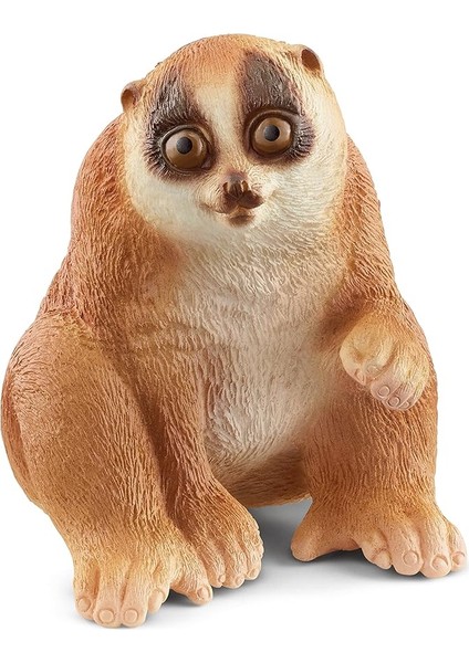 Yavaş Loris