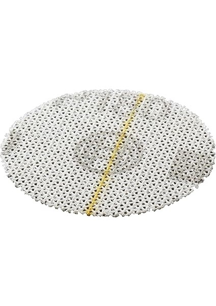 Professional Accessories 18 Parçalı Zımpara Seti (Ahşap ve Renk Için, Çap 40 Mm, Tanecik K80/K180/K320, Eksantrik Zımpara Aksesuarı) modelleri