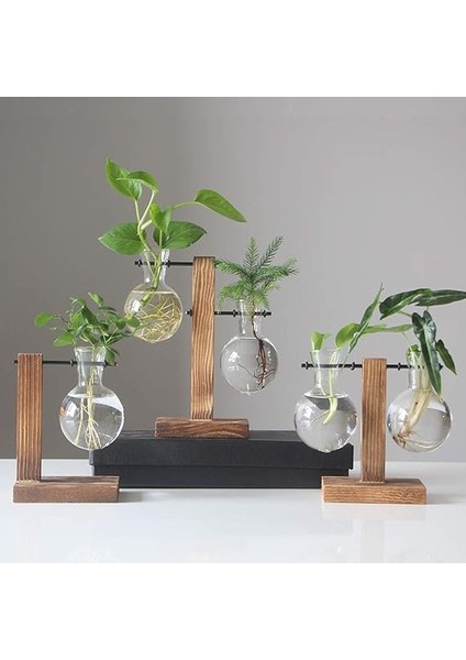 Hidroponik Bitki Vazoları Vintage Saksı Şeffaf Vazo Ahşap Çerçeve Cam Masa Bitkileri Ev Bonsai Dekoru (B - 2 Ampul Vazo) fırsatları
