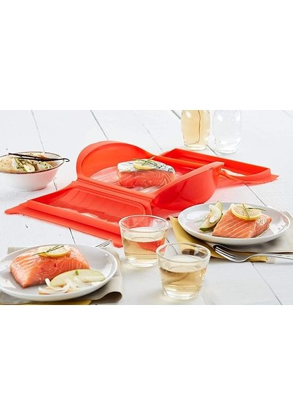 Kırmızı Tahliye Tepsili Buhar Kalıbı fırsatları