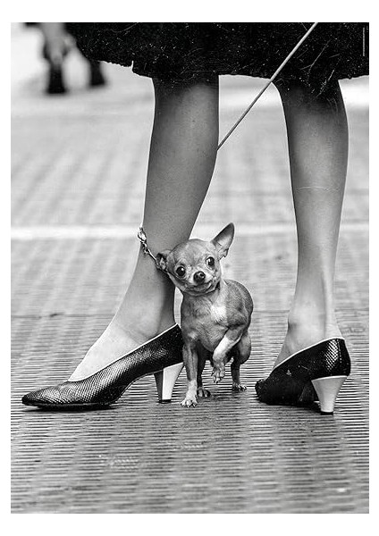 - 1000 Parça Lıfe Yetişkin Puzzle - 4 fiyatları