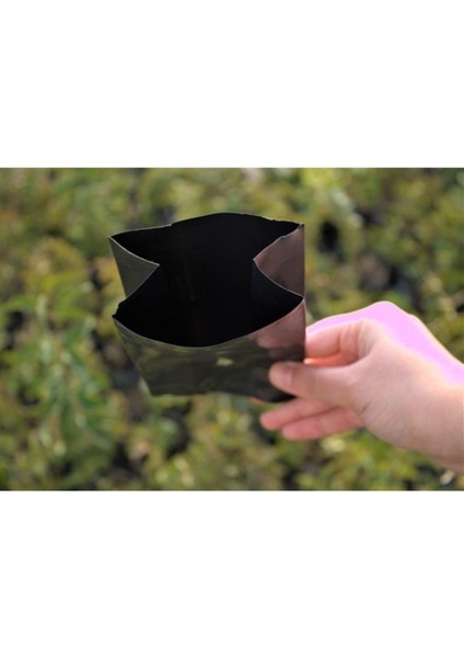 Fide Poşeti 9X15 cm 50 Adet Fide Torbası Fidan Poşeti Fidan Torbası modelleri