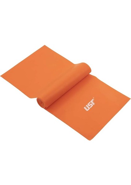 Lb Serisi Pro Egzersiz Bandı