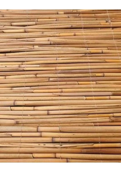 1MX2M Hasır Kamış Çit fiyatları