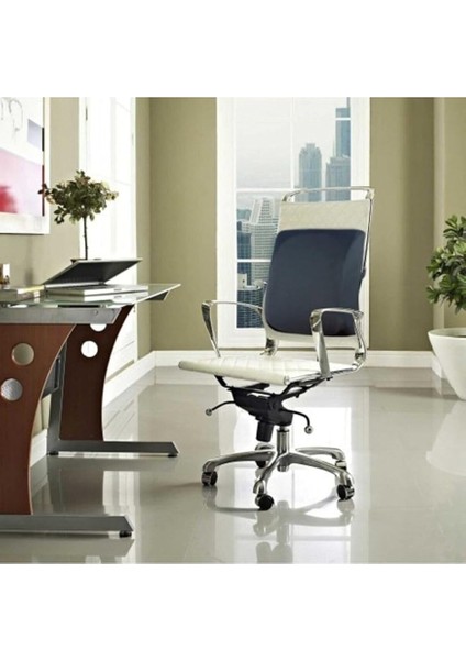 Ortopedik Ofis Koltuk Sandalye Bel Destek Yastık Minderi Sırt Dayama Yastığı fiyatları