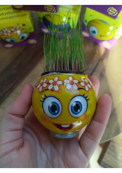 Çimoji 40'lı Tek Tek Kutulu Eğitici Hediyelik Oyuncak Çimadam Çimoji fiyatları