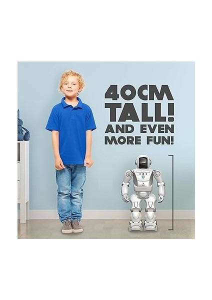 Program A Bot x modelleri