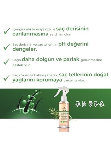 Saç Dökülme Karşıtı, Hızlı Saç Uzamasına Yardımcı Vegan Biberiye Bakım Suyu, 7 Doğal Aktif Içeren, Paraben ve Sülfat Içermez, Ph Seviyesini Korur, Saç Tellerini Güçlendirici Saç Bakım Suyu, 200ML modelleri