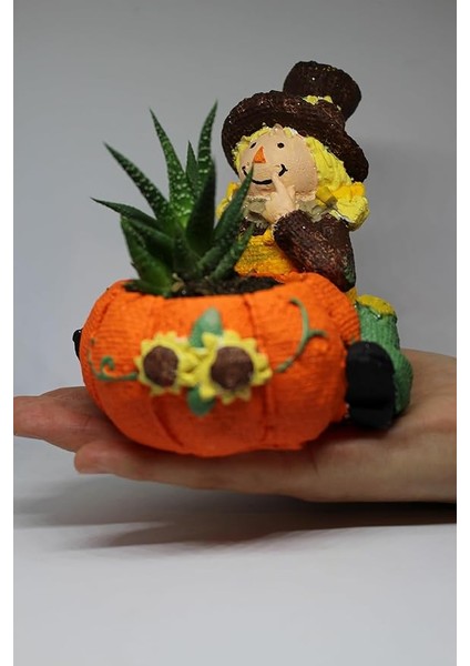 Kız Figürlü Saksı + Canlı Sukulent Bitkili fiyatları