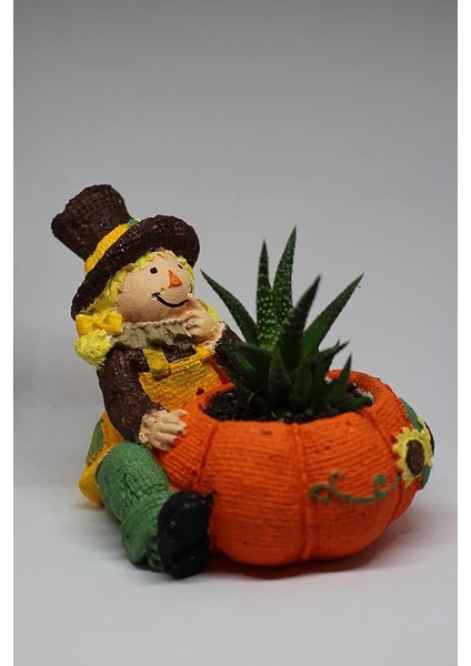 Kız Figürlü Saksı + Canlı Sukulent Bitkili modelleri