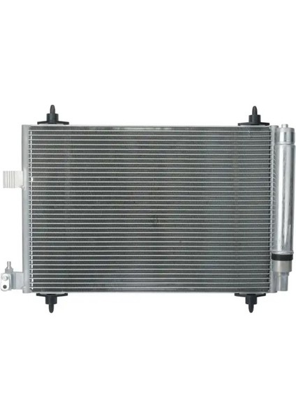 1986AD2006 Klima Radyatoru 1610161080 6455CP 6455FX