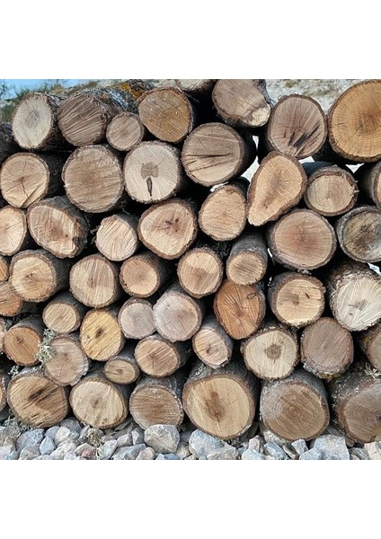 Odunu, Şömine Odunu 15KG