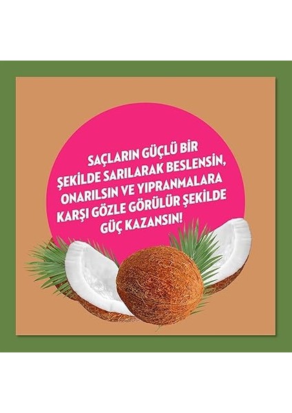 Doğanın Enerjisi Saç Kremi Hindistan Cevizi Özlü 350 ml 1 Paket (1 x 350 Ml) indirimleri