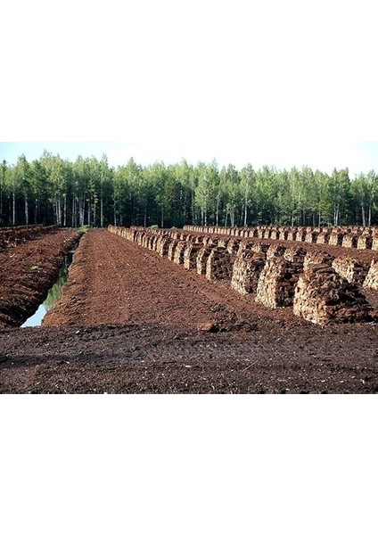 Botanik 20 Litre Ithal Kına Torf-Perlit Katkılı fırsatları