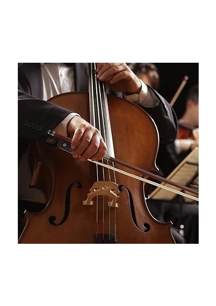 Doğal At Kılı ile Yapılmış Yayı Ahşabı Dayanıklı ve Esnek Profesyonel ve Başlangıç Kullanımı Için Uygun Müzik Aleti Aksesuarı indirimleri