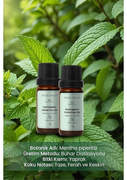 Natural Nane Uçucu YAĞI%100 Saf 10 ml modelleri