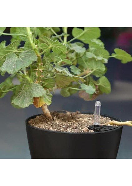 Akıllı Saksı, Iç Mekan Bitkileri Için Kendi Kendini Sulayan Çiçek Bitki Saksısı, 4’lü Set Su Seviye Göstergeli Plastik Akıllı Saksı indirimleri