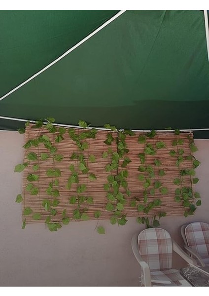 1MX1M Hasır Kamış Çit modelleri