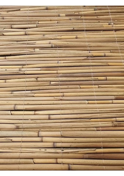 1MX1M Hasır Kamış Çit fırsatları