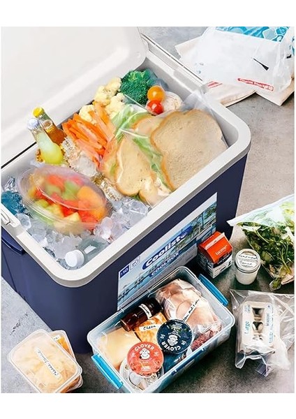 CLB10 10 Litre Buzluk fiyatları